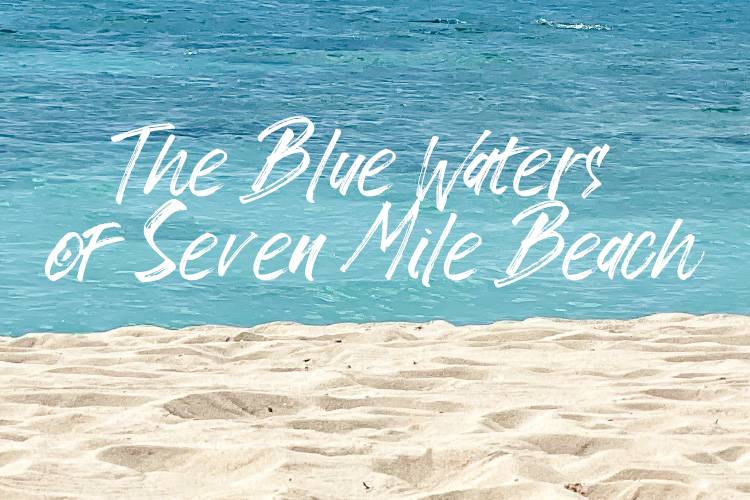 The Blue Waters of Seven Mile Beach