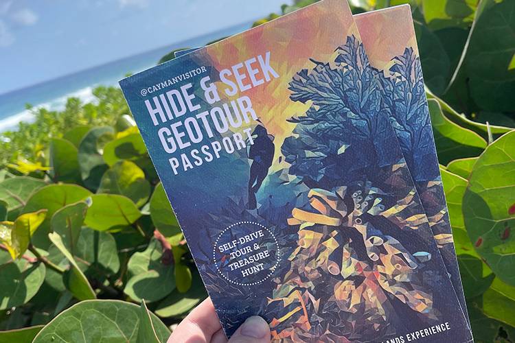 two passports held in front of tropical scene