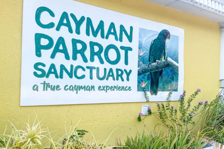Cayman Parrot Sanctuary signage