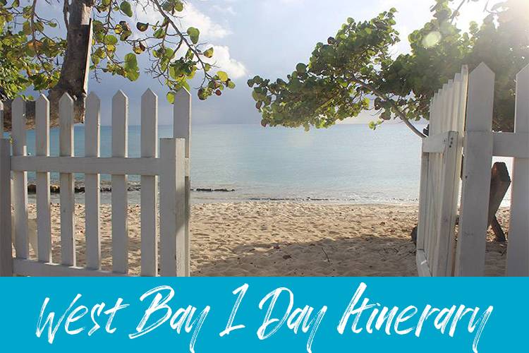 fence with gate open to beach