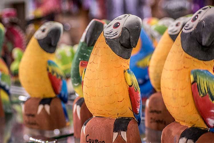 parrots inside a keepsake shop