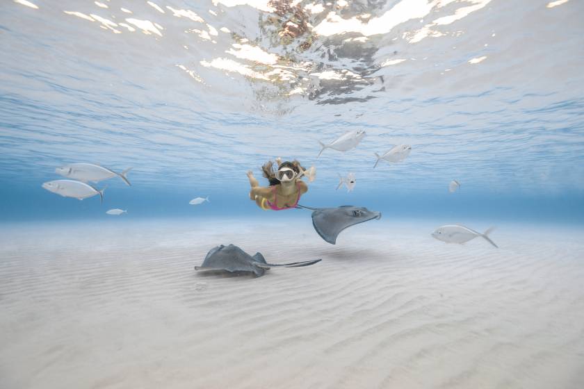 snorkeler at stingray city below water