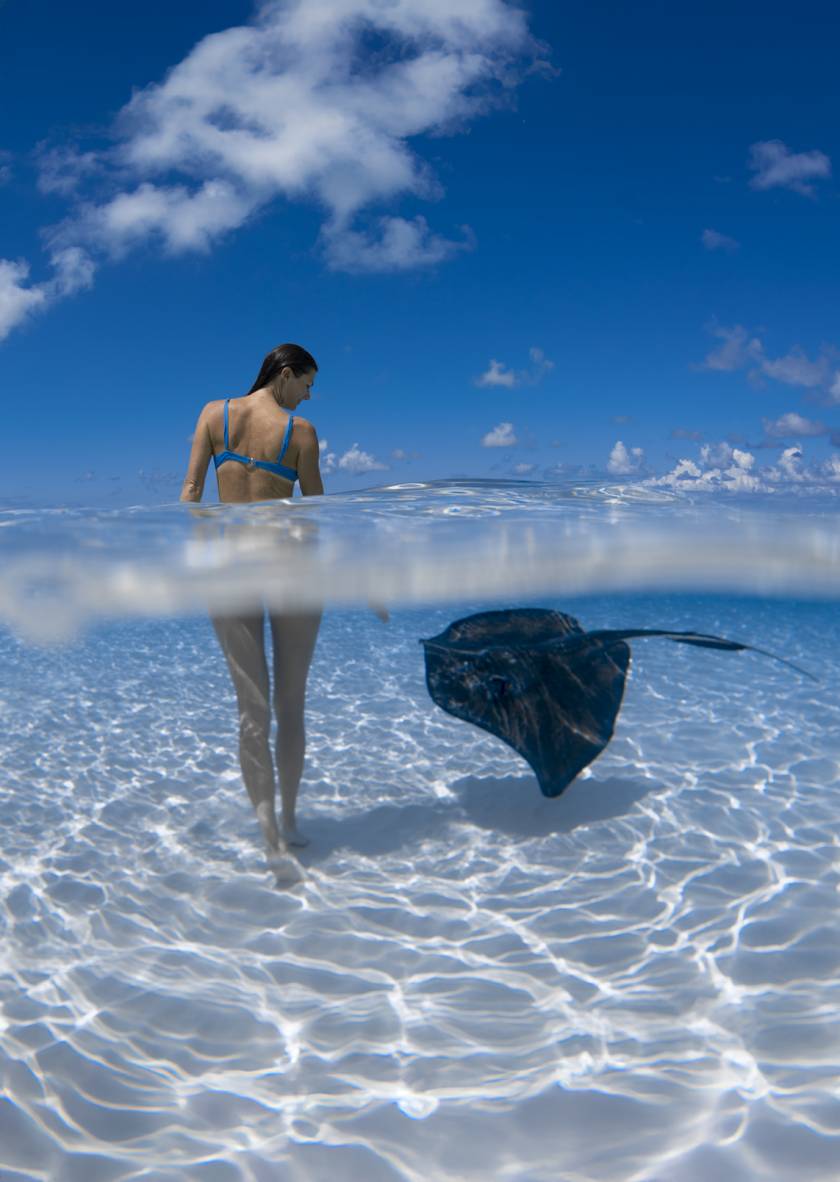 stingray city above and below water