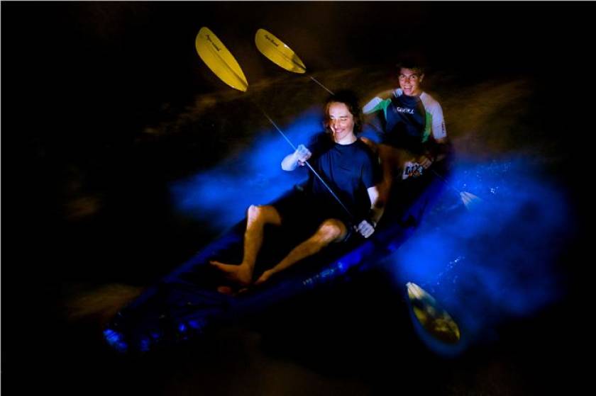kayaking through bioluminescence