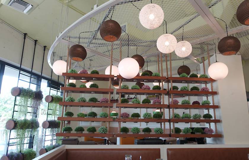 inside Boggy Sands Cafe