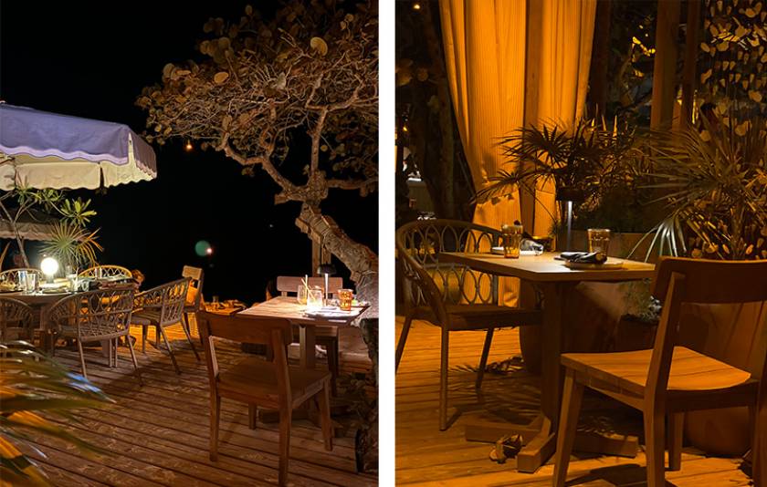 bonnie moon at night