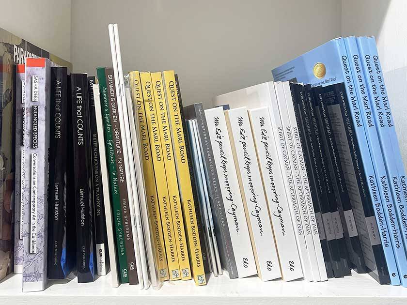 books displayed on a shelf