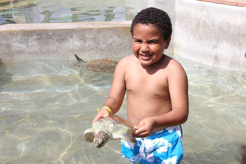 boy holding baby turtle