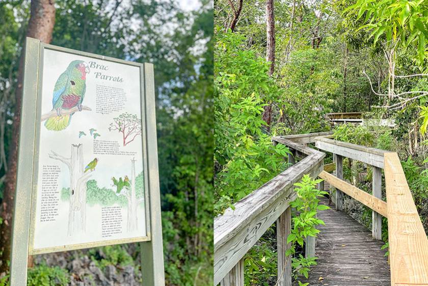 brac parrot walk signage