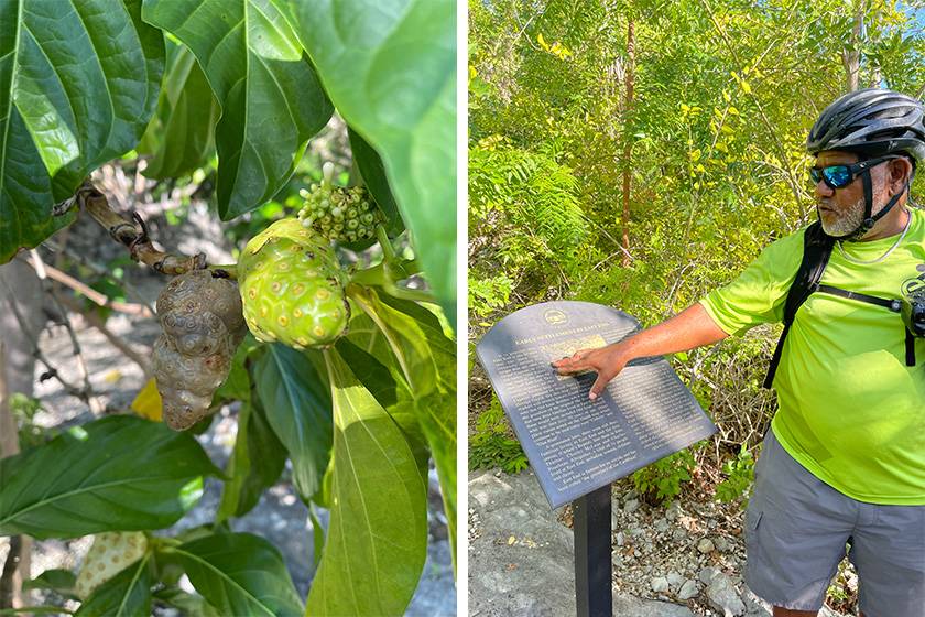 fruit of cayman tree and Shane talking at lighthouse