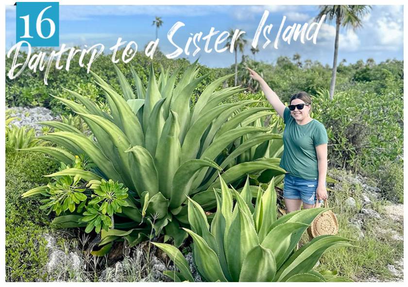 woman with huge agave