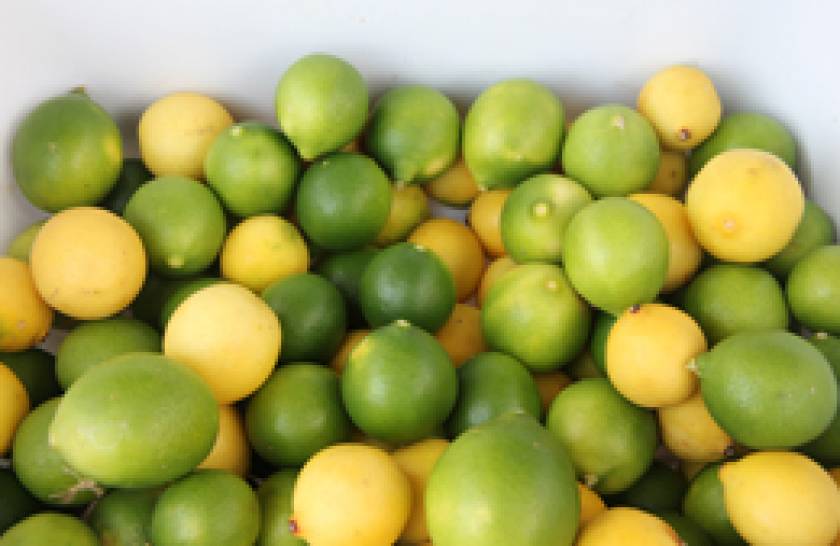 limes and lemons