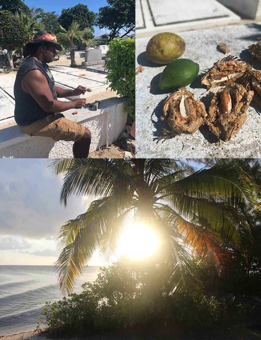 Gil cracking almonds and a sunset