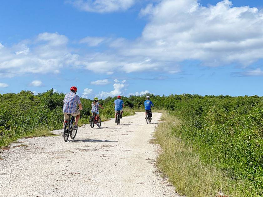 group riding through mangrove forest