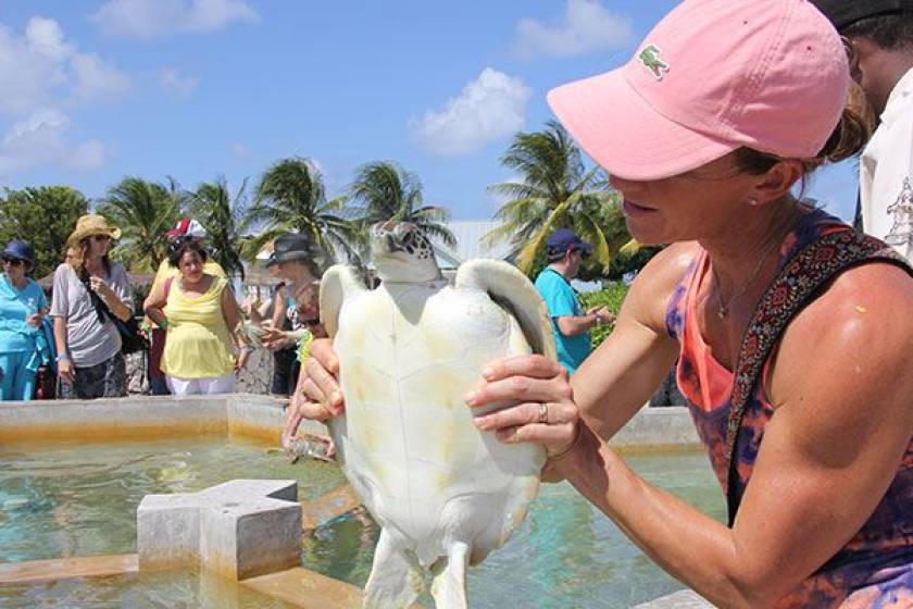 holding a turtle