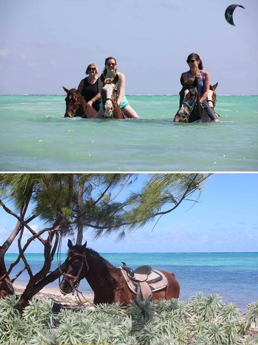 3 women bareback swimming on a horse