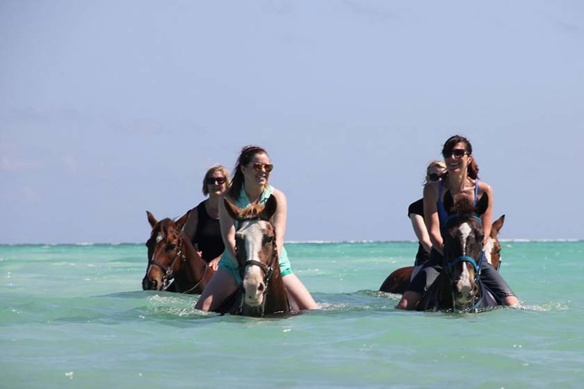 horseback ride in ocean