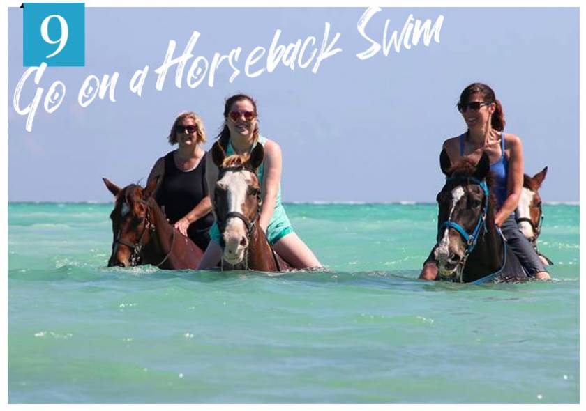 riding horses in the sea