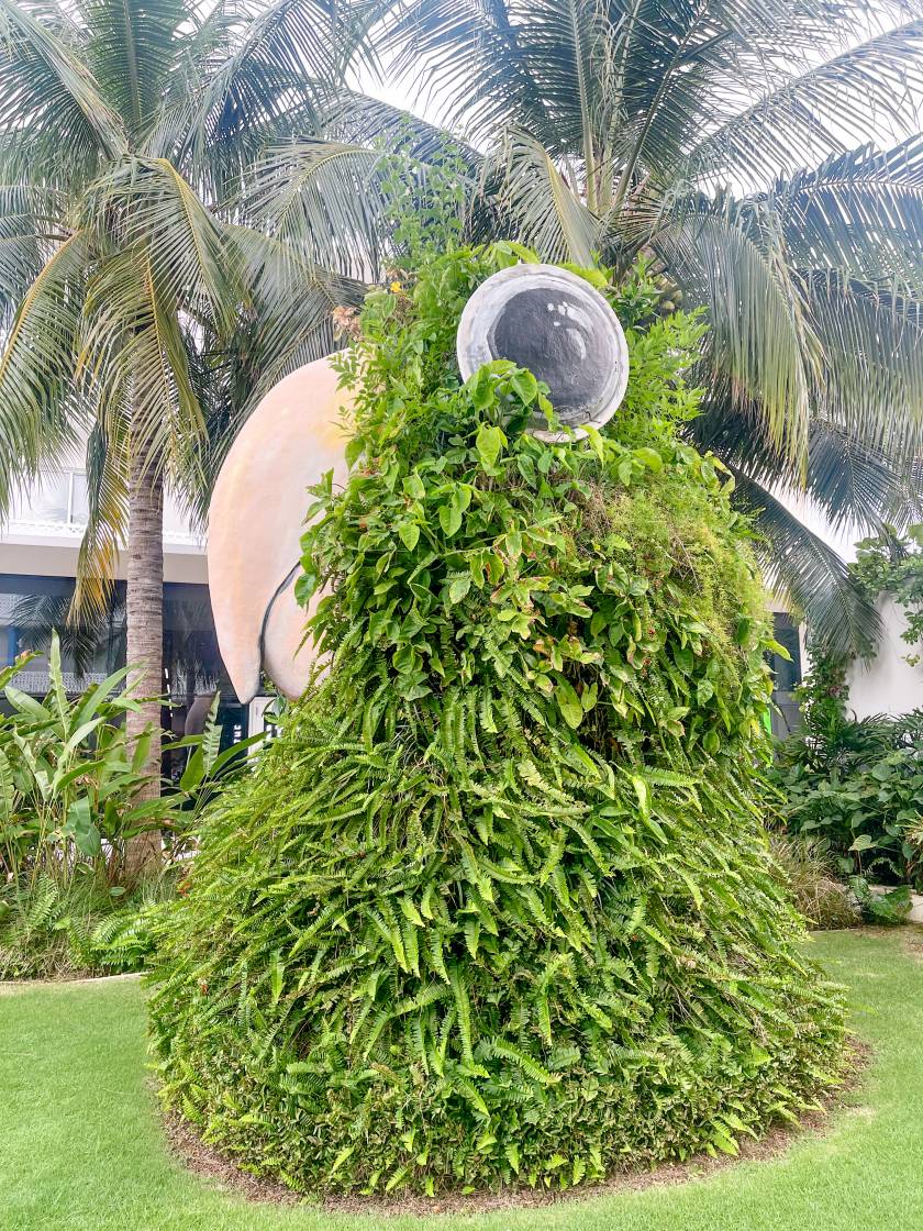 plant display of parrot