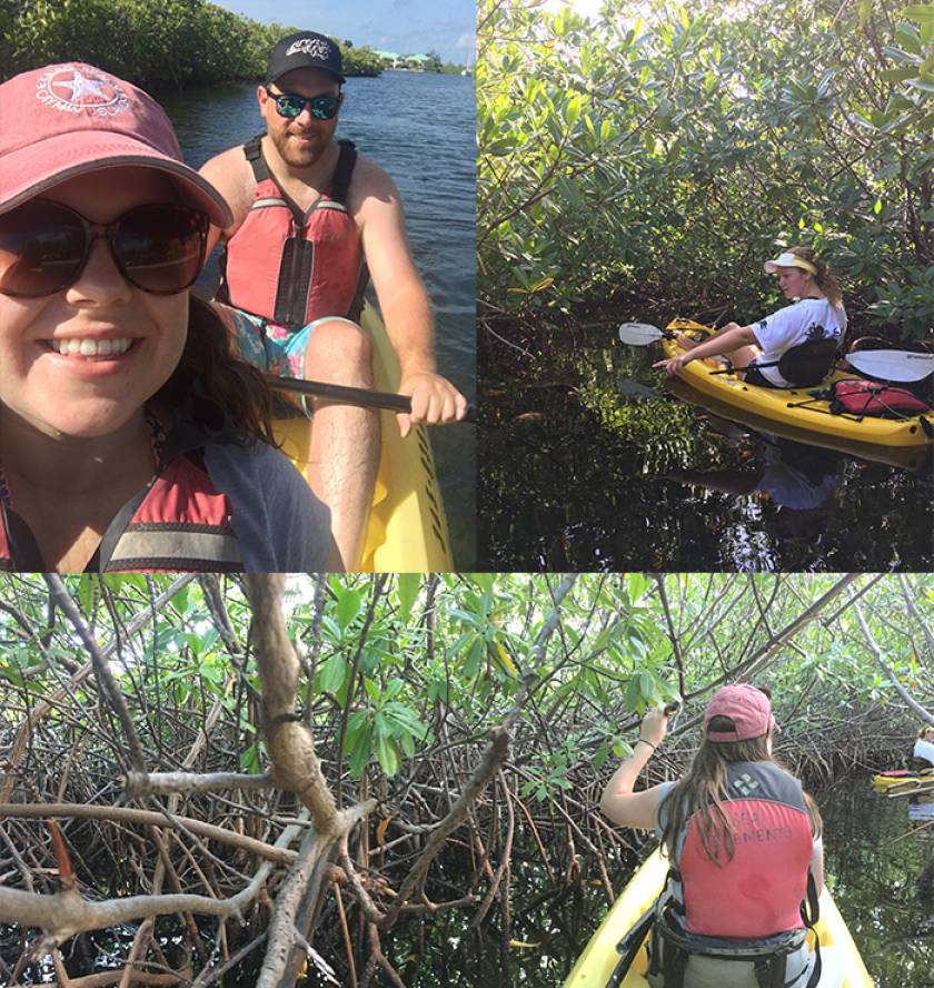 kayaking mangroves