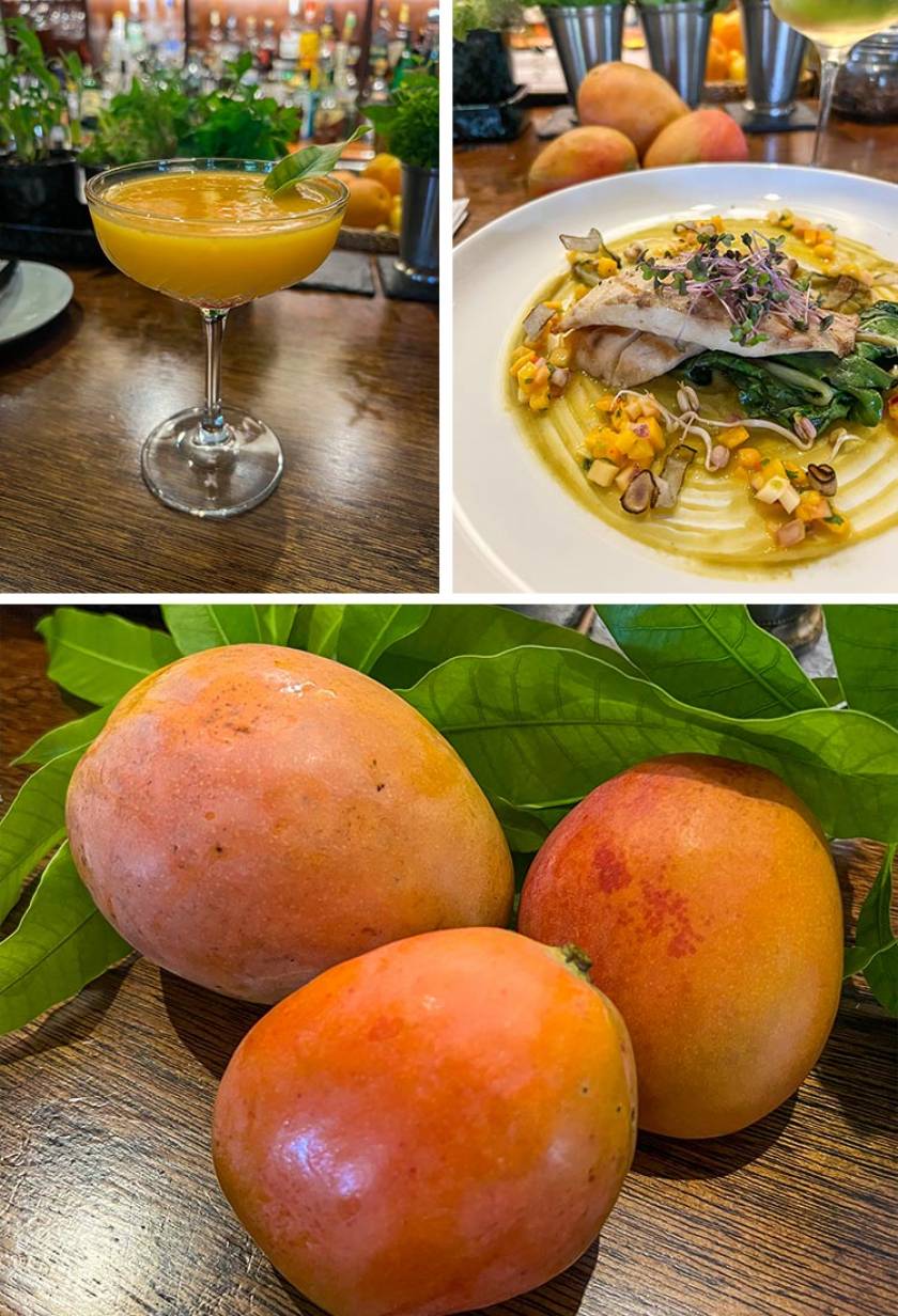 mango dish drink and fruit
