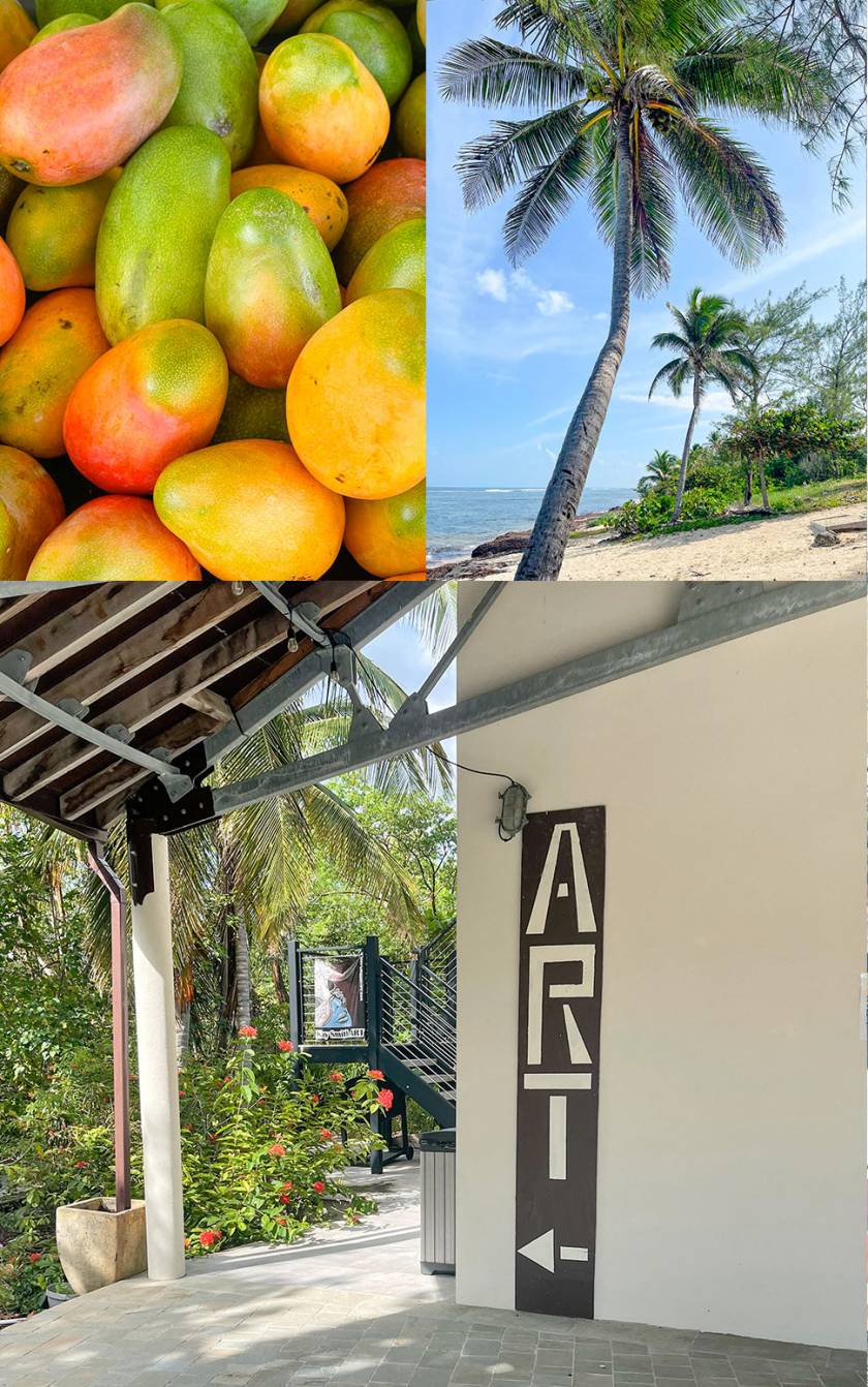 mangoes, beach and art shop