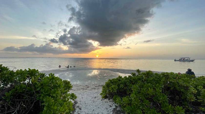 starfish point at sunset