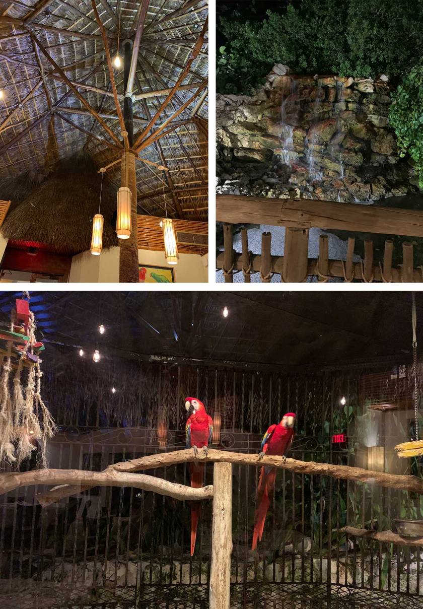 tiki roof, waterfall and parrots