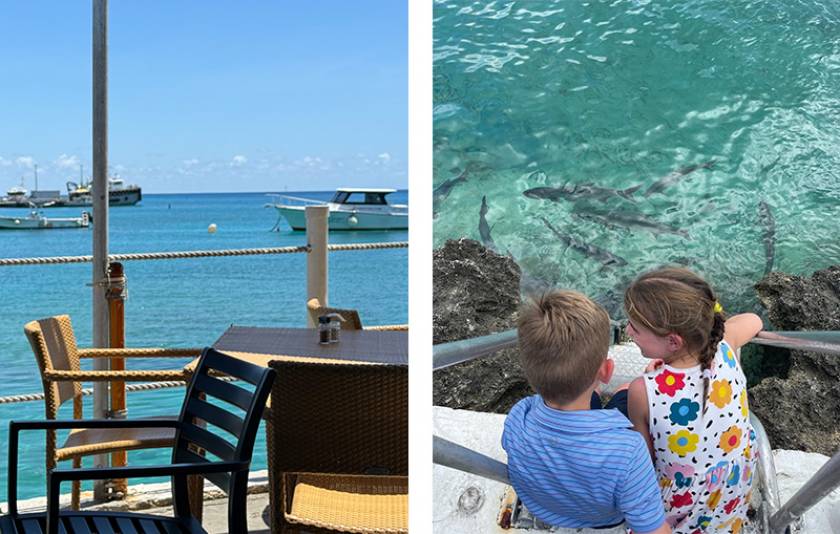 rackam's sea view and tarpon feeding