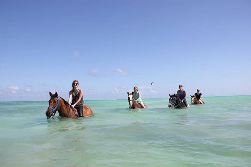 swimming horseback