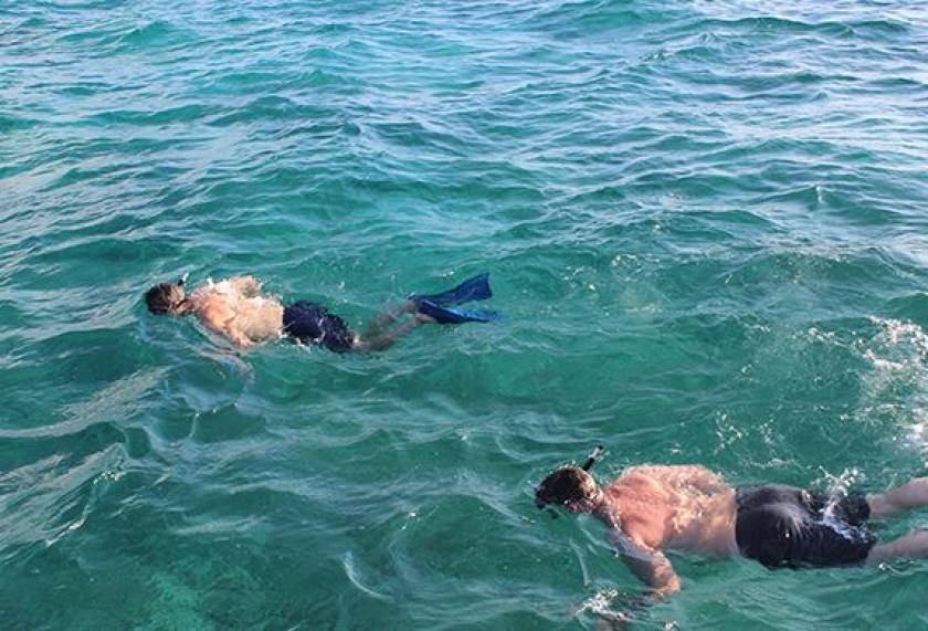 snorkeling at Starfish Point