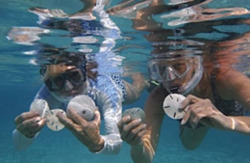 snorkelers