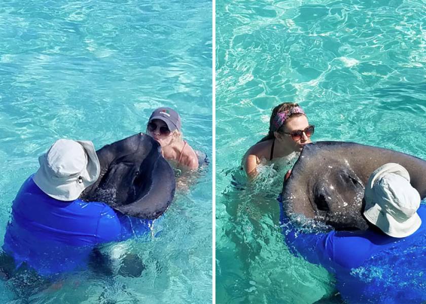 kisses from stingrays