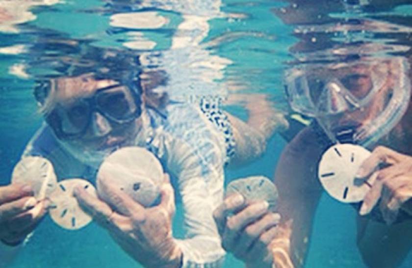 snorkelers with sand dollars