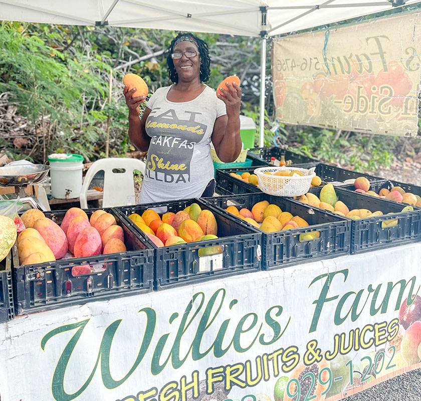 woman holding mangoes at farm stand